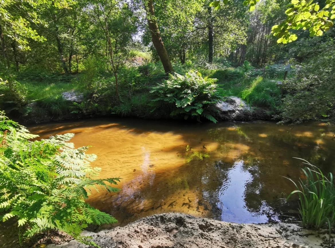 La Wigwam Bleu Du Domaine Du Pas De L'Ane Ξενοδοχείο Mios Εξωτερικό φωτογραφία